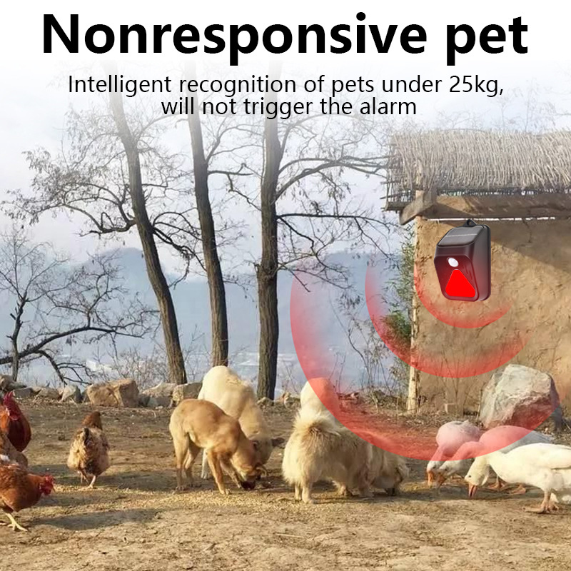 พลังงานแสงอาทิตย์กันน้ํานาฬิกา - Home Security Yard Sensors บทวิจารณ์และราคา
